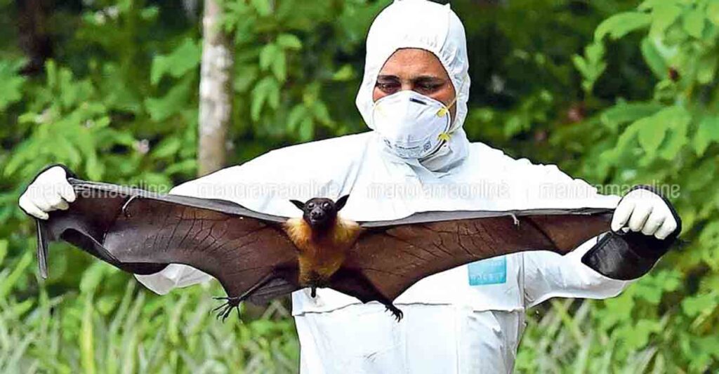 Nipah Virus infection 